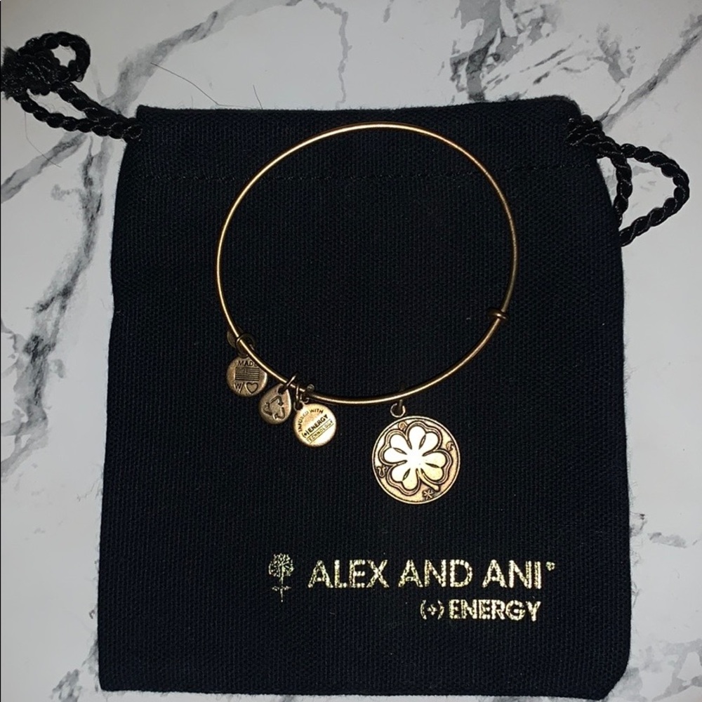 Alex and Ani bracelet